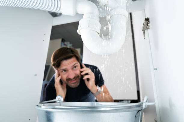 Best Clogged Drain Plumber  in Telford, TN